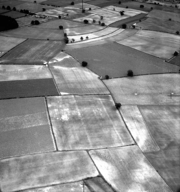 aerial photo RG22. Track/field boundary; post alignment (recent fence)