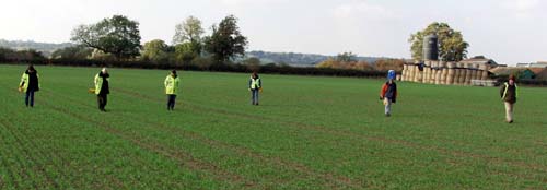 Field Walking in progress