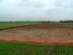 trench a