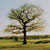 Normanton: Normanton Golf Course