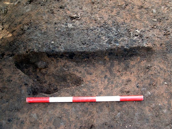 possible cremation