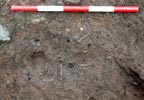 infant burial