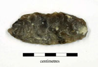 plate 15