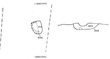 feature 605 plan and section