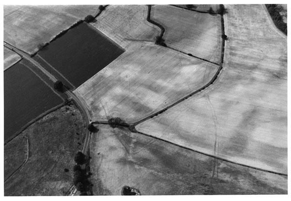 ditches, tracks, linear features, possible pit alignments, quarry pit 