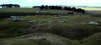 arbor low copyright FAS