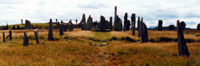 callanish copyright FAS
