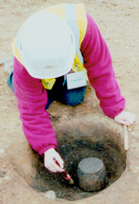 Plate 4 - Bronze Age cremation