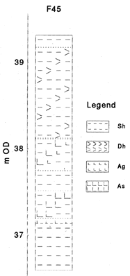 Troels-Smith Depiction of the Sediment Stratigraphy of F45. 