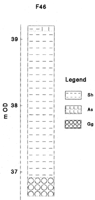 Troels-Smith Depiction of the Sediment Stratigraphy of F46.