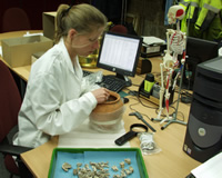osteologist Malin Holst at work