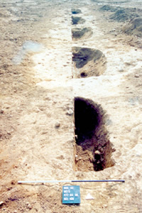 half sectioned pit alignment