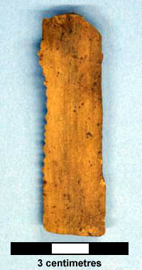 serrated saw