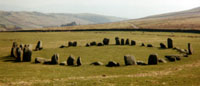 swineside copyright Guy Hopkinson