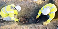 Working shot, excavation of skeleton