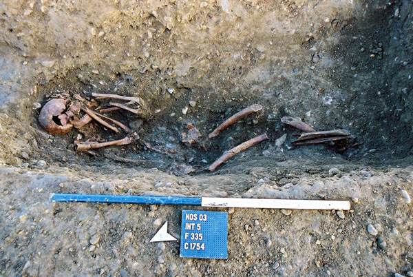 Post excavation shot of skeleton