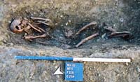 Post excavation shot of skeleton