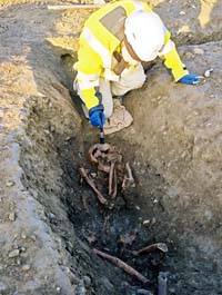 Working shot, excavation of skeletonWorking shot, excavation of skeletonWorking shot, excavation of skeleton