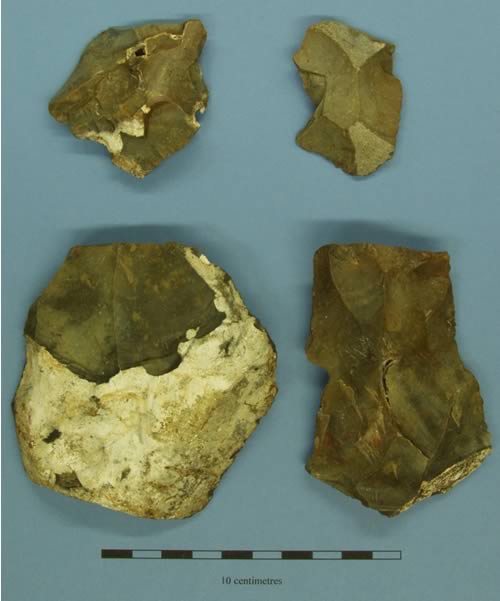 flint flakes and cores