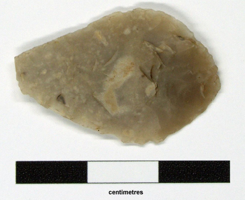leaf shaped arrowhead
