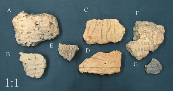 prehistoric pottery sherds