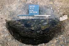 Pit, feature 442 