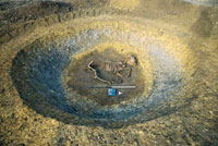 plate 3 - cow burial in F7