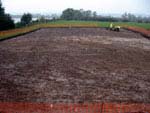 trench d