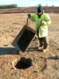 seeding the features