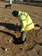 seeding the features