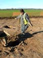 seeding the features