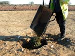 seeding the features