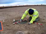 seeding the features