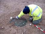 seeding the features