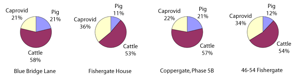 domesticate proportions of Anglo-Scandinavian date