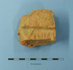 stamp of the 9th legion