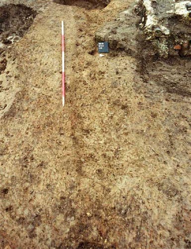 Gully, F110B/F519B