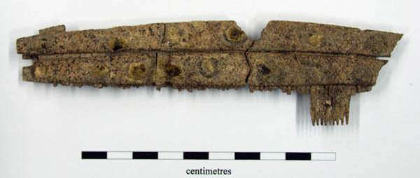F351B composite bone comb