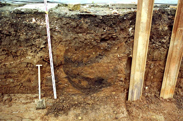 F557B north facing section