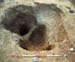 F13B post-excavation