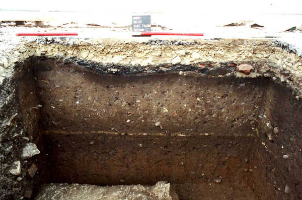 F547B east facing section