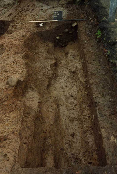 F208B post-excavation (western segment)