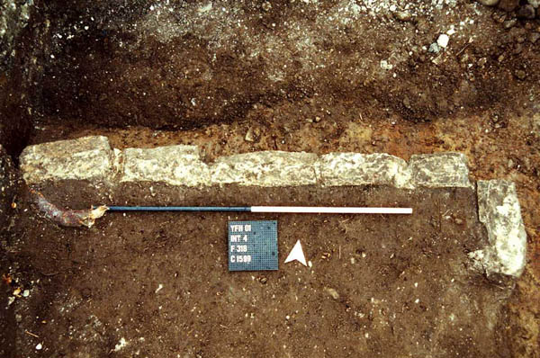 Inhumation 244