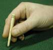 stylus