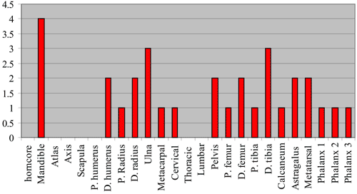 figure 31