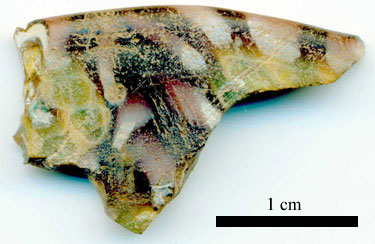 fragment G1