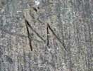 carved 'm'