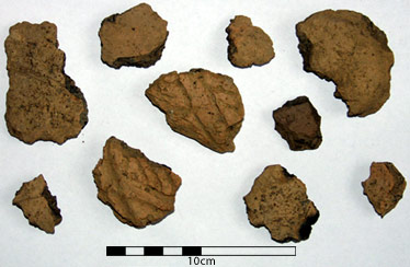 pottery from fill of feature 1
