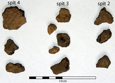 pottery from the ploughsoil above feature 1