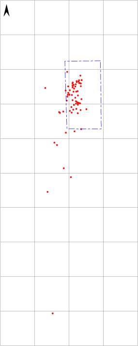 test pit B surface scatter